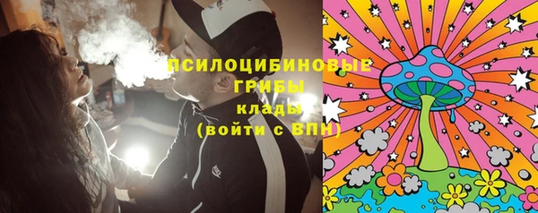 хмурый Абаза