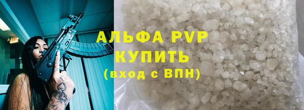 хмурый Няндома