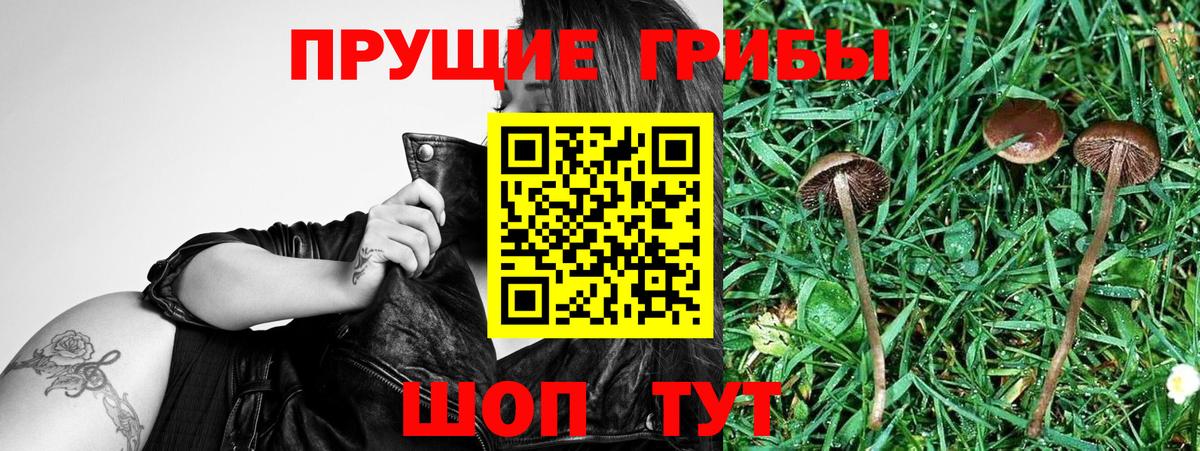 Галлюциногенные грибы ЛСД Черемхово
